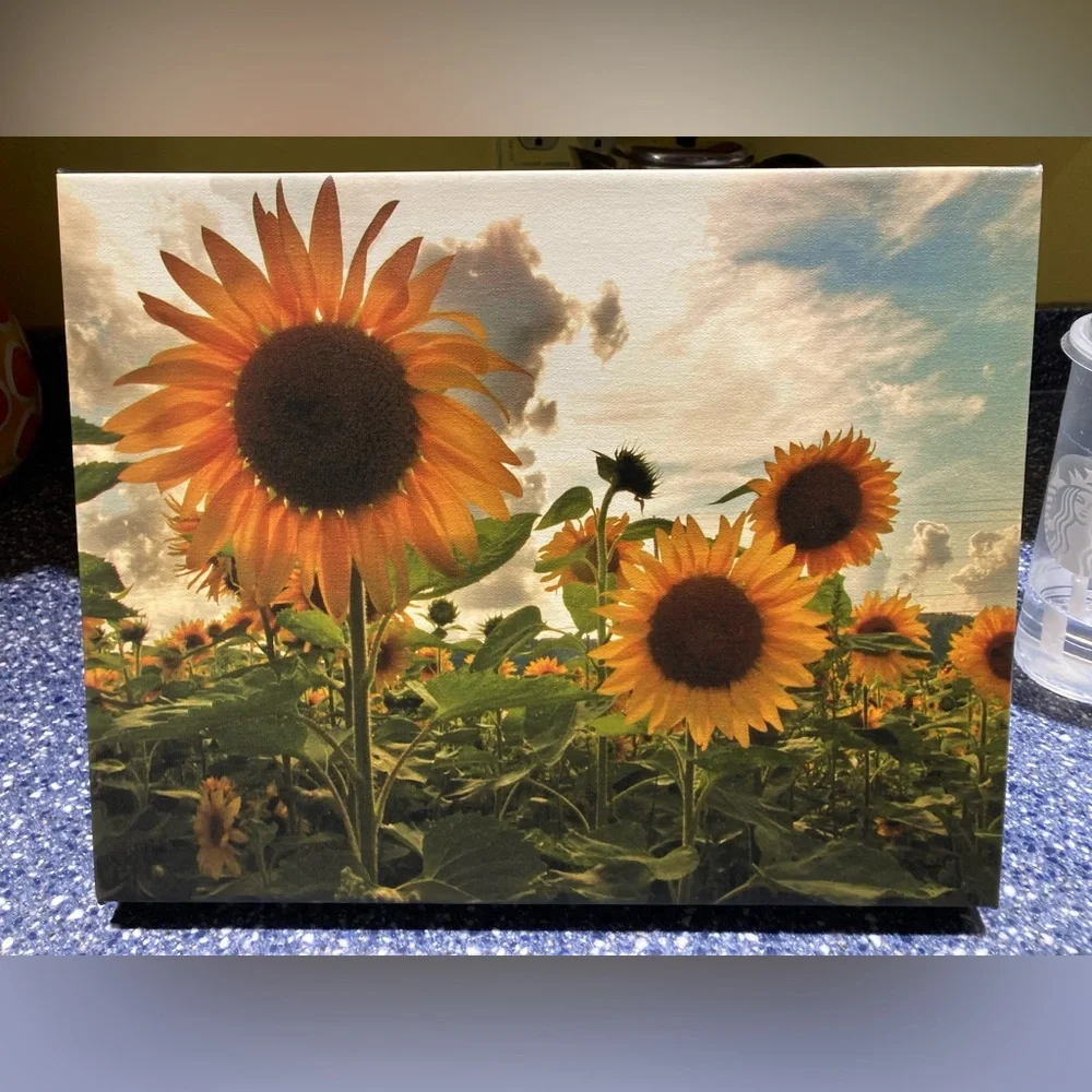 Sunflower Starburst Wall Art 11” x 14” Stretch Canvas on Wood Frame